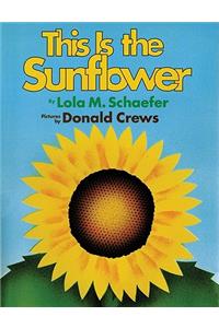 This is the Sunflower