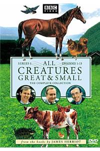 All Creatures Great & Small