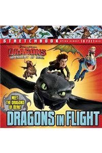 Dreamworks: Defenders of Berk: Dragons in Flight Stretchbook