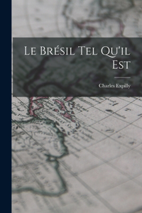 Brésil Tel Qu'il Est