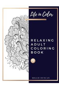 RELAXING ADULT COLORING BOOK (Book 9)