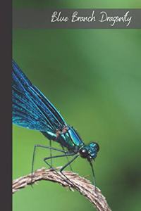 Blue Branch Dragonfly: small lined Dragonfly Notebook / Travel Journal to write in (6'' x 9'')