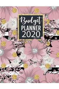 Budget Planner Organizer 2020: Daily Weekly and Monthly Calendar Expense Tracker Organizer Budget Journal Tool, Personal Finances, Financial Planner, Debt, Bill, Budgeting Workboo