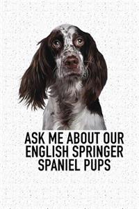 Ask Me about Our English Springer Spaniel Pups