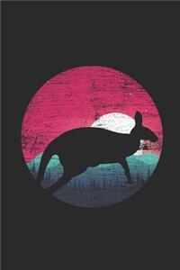 Kangaroo Moon
