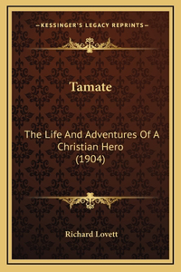 Tamate: The Life And Adventures Of A Christian Hero (1904)