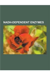 Nadh-Dependent Enzymes: Alcohol Dehydrogenase, Udp-Glucose 4-Epimerase, Xanthine Dehydrogenase, Nad(p)H Dehydrogenase, Nitric Oxide Dioxygenas