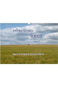 Extraordinary Trees (UK Version) 2018