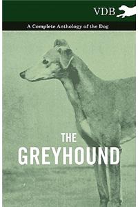 Greyhound - A Complete Anthology of the Dog