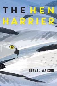 Hen Harrier