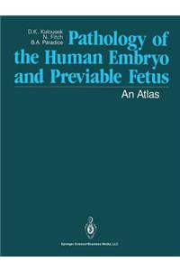 Pathology of the Human Embryo and Previable Fetus