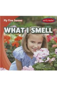 What I Smell