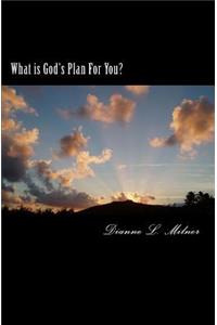 What is God's Plan For You?