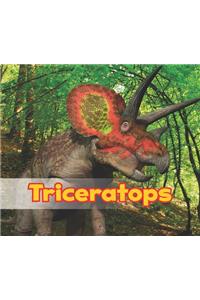 All About Dinosaurs Triceratops