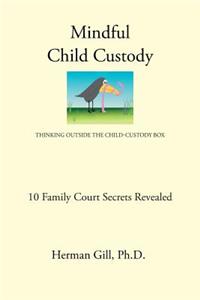 Mindful Child Custody