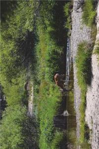 Merced River in Yosemite National Park California Journal
