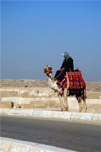 Riding a Camel in Egypt Journal
