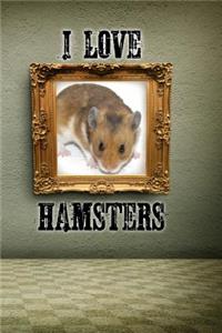 I Love Hamsters