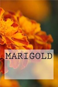 Marigold