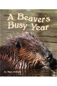 The Beavers' Busy Year