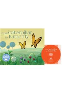 From Caterpillar to Butterfly