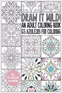 Azulejo coloring book for adults: Draw it mild! 65 Azulejos for coloring - for relaxation and stress relieve - gift book - incl. PDF printables