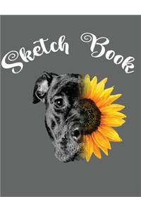 Sketch Book