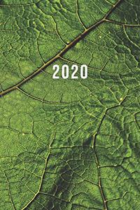 2020