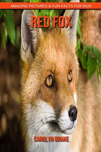 Red Fox