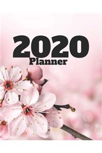 2020