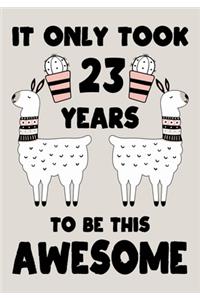 It only Took 23 Years To Be This Awesome