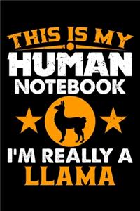 This Is My Human Notebook I'm Really a Llama