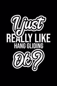 I Just Really Like Hang Gliding Ok?