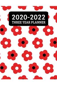2020-2022 Three Year Planner