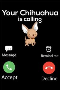 Your Chihuahua Is Calling