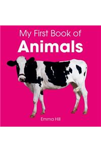 My First Book of Animals