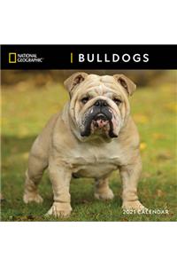 Cal 2021- Ng Bulldogs Wall