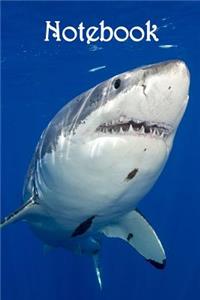 Notebook: Shark - Bespoke, Personalised Notebook. Contact Us If You Would Like Your Own Image, Name or Other Text on a Book.