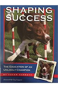 Shaping Success