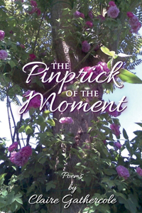 Pinprick of the Moment