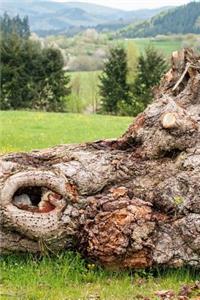 Felled Tree in a Field Journal