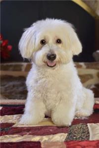 Cute White Maltese Puppy Journal