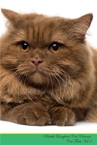 British Longhair Cat Presents