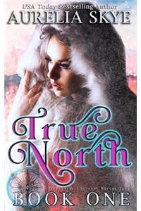 True North