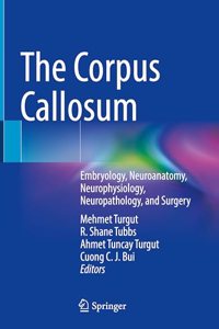 Corpus Callosum