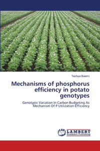 Mechanisms of phosphorus efficiency in potato genotypes