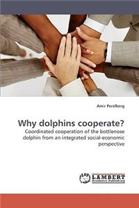 Why dolphins cooperate?