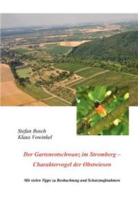 Der Gartenrotschwanz im Stromberg
