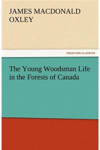 Young Woodsman Life in the Forests of Canada