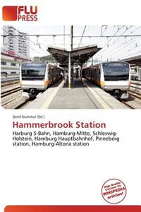 Hammerbrook Station